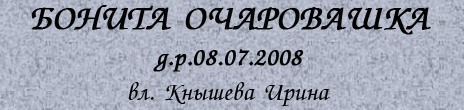 Бонита Очаровашка   д.р. 08.07.2008   вл. Кнышева Ирина